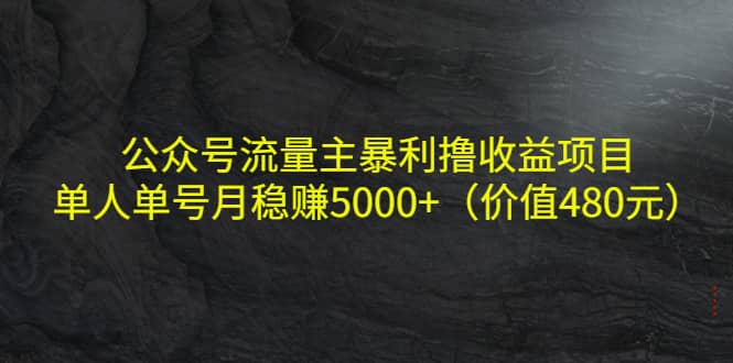 公众号流量主暴利撸收益项目，单人单号月稳赚5000+（价值480元）-我爱项目网