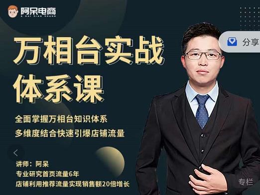 阿呆-万相台实战体系课，帮您全面掌握万相台知识体系-我爱项目网