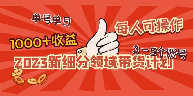 2023新细分领域带货计划：单号单日1000+收益不难，每人可操作3-5个账号-我爱项目网