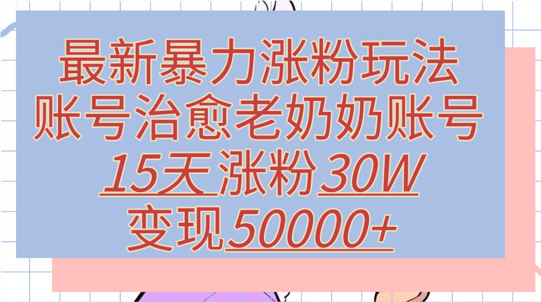 最新暴力涨粉玩法，治愈老奶奶账号，15天涨粉30W，变现50000+【揭秘】-我爱项目网