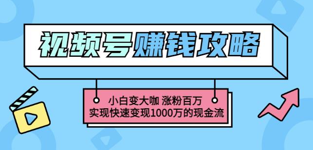 玩转微信视频号赚钱：小白变大咖涨粉百万实现快速变现1000万的现金流-我爱项目网