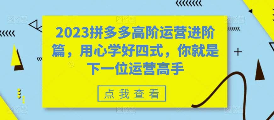 2023拼多多高阶运营进阶篇，用心学好四式，你就是下一位运营高手-我爱项目网