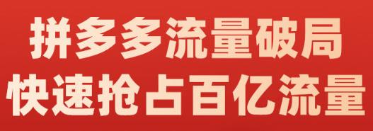 阿杰·拼多多流量破局:如何打黑标，爆款的思路，拼多多流量框架，快速抢占百亿流量-我爱项目网