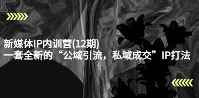 新媒体IP内训营(12期)，一套全新的“公域引流，私域成交”IP打法，直接带走-我爱项目网
