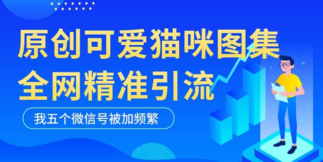 黑科技纯原创可爱猫咪图片，全网精准引流，实操5个VX号被加频繁-我爱项目网