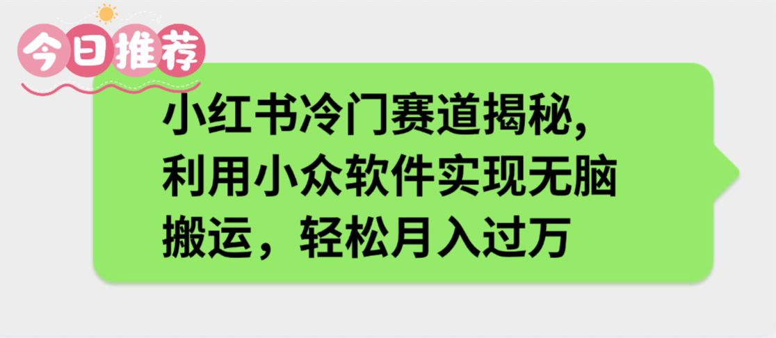 小红书冷门赛道揭秘,利用小众软件实现无脑搬运,轻松月入过万-我爱项目网