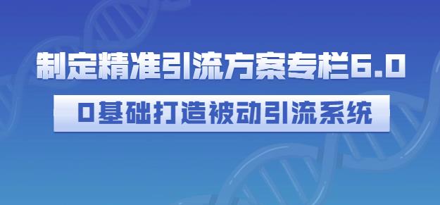 制定精准引流方案专栏6.0，0基础打造被动引流系统-我爱项目网