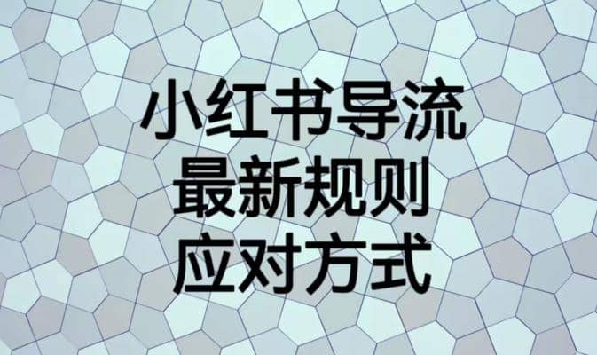 小红书导流最新规则应对方式【揭秘】-我爱项目网
