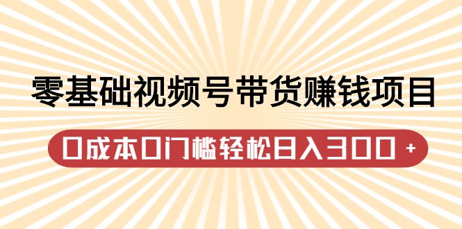零基础视频号带货赚钱项目，0成本0门槛轻松日入300+【视频教程】-我爱项目网