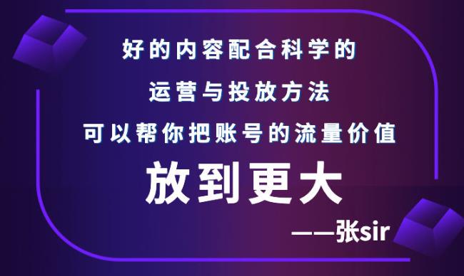 张sir账号流量增长课,告别海王流量,让你的流量更精准-我爱项目网